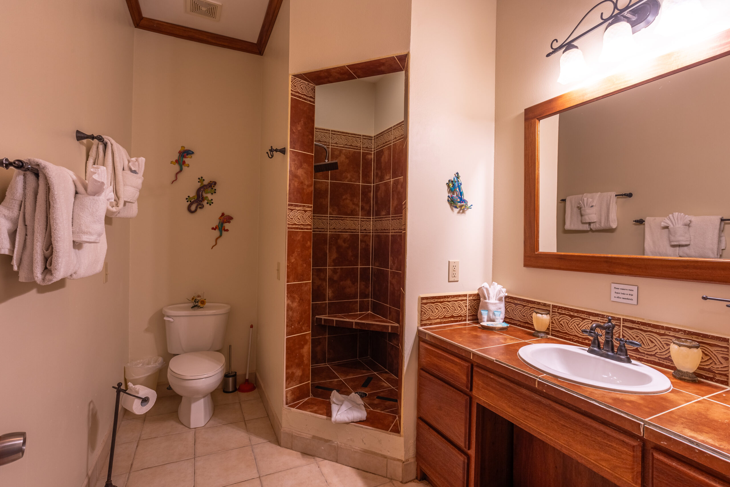 en-suite bathroom with a spacious walk-in shower, a stylish vanity, and all necessary amenities.